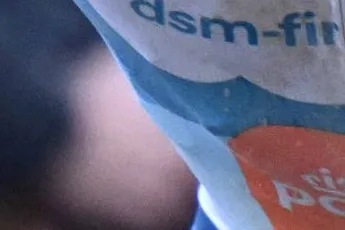 dsm-firmenich PostNL wil aanvallen in Milaan-Sanremo: 'Alert zijn op kansen die vanuit ontsnappingen ontstaan'