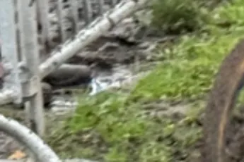 Van Merksplas naar Tour de France? Lander Loockx (Unibet Rose Rockets) terug in de cross: 'Heb zes weken op de roller getraind'