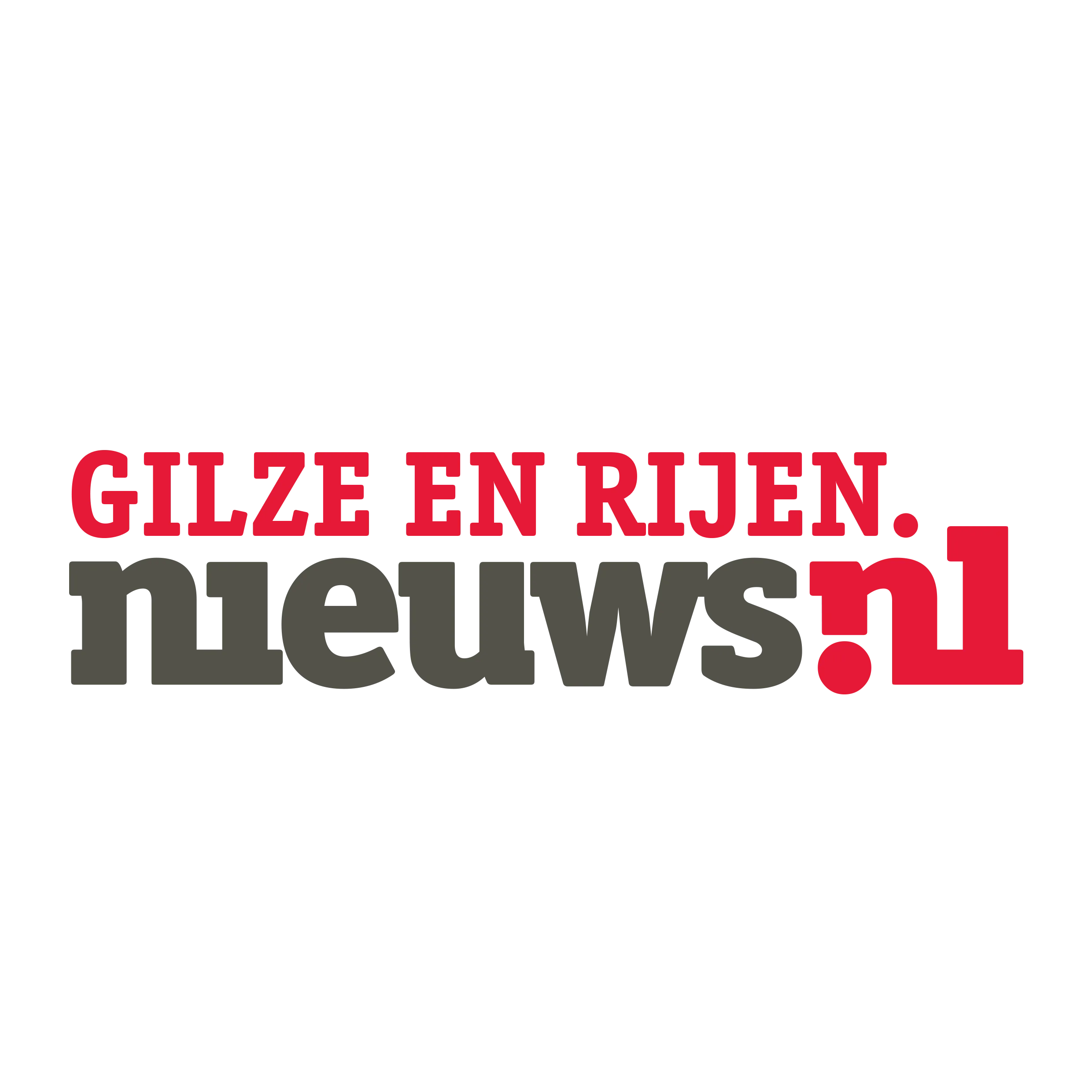 Newsletter logo