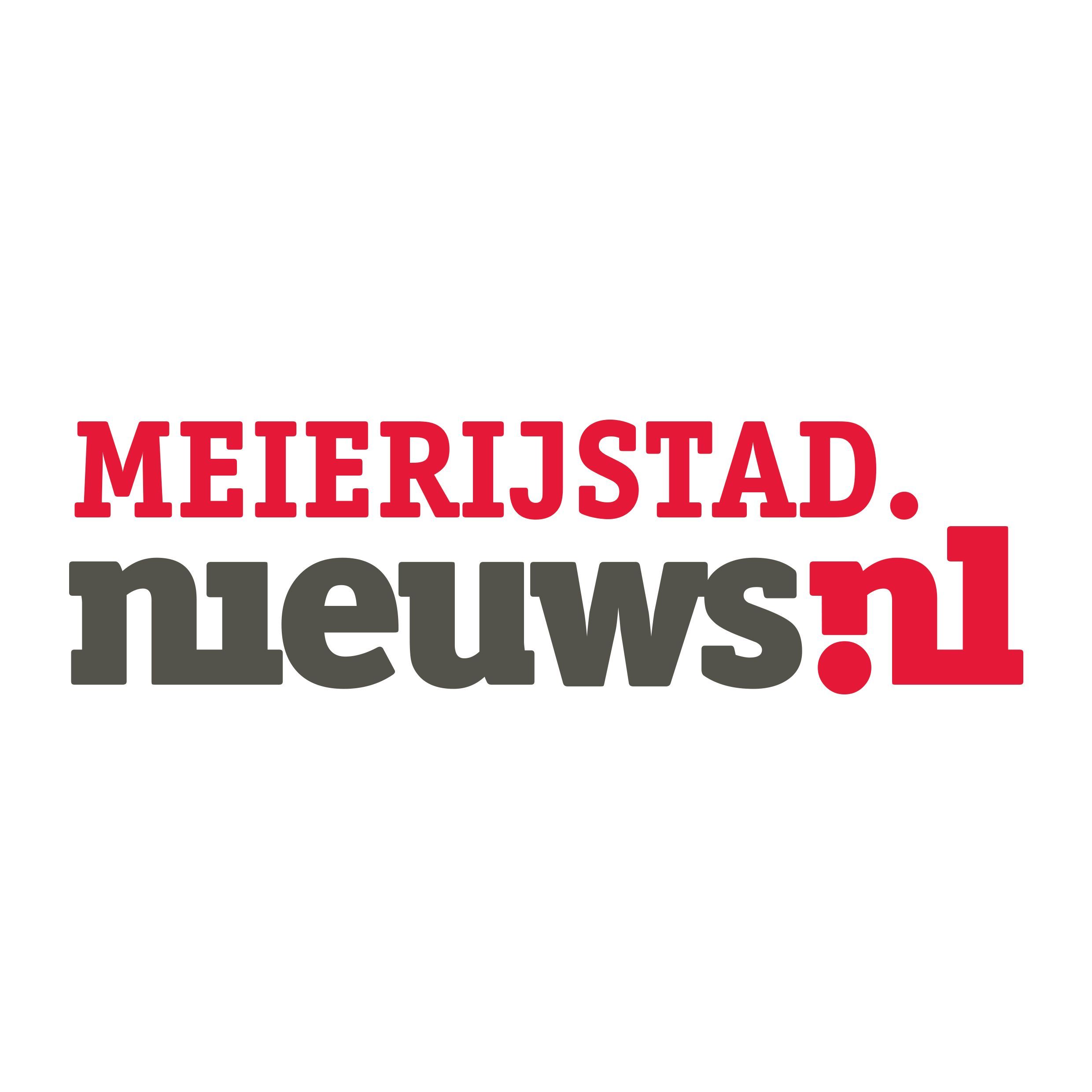 Newsletter logo