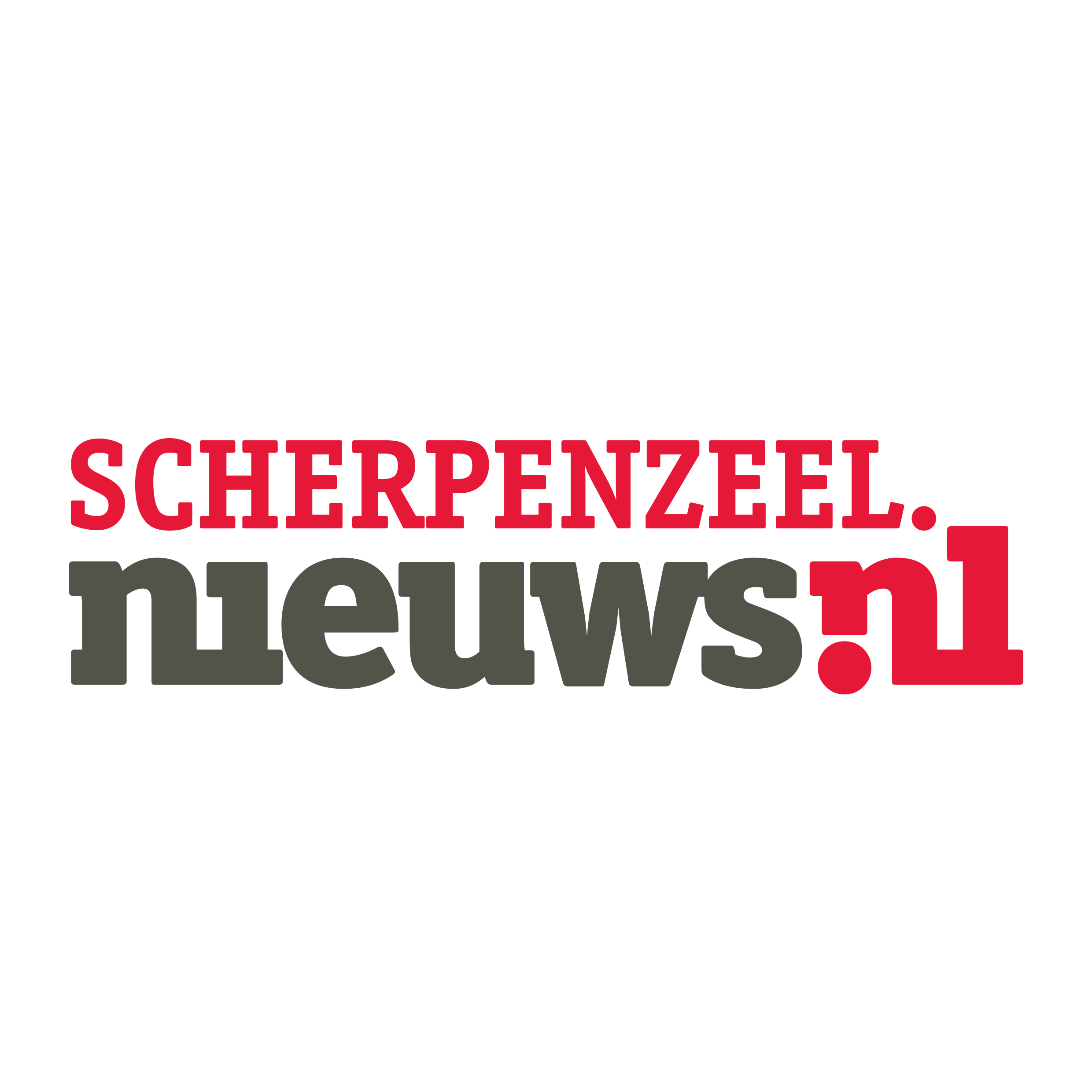 Newsletter logo