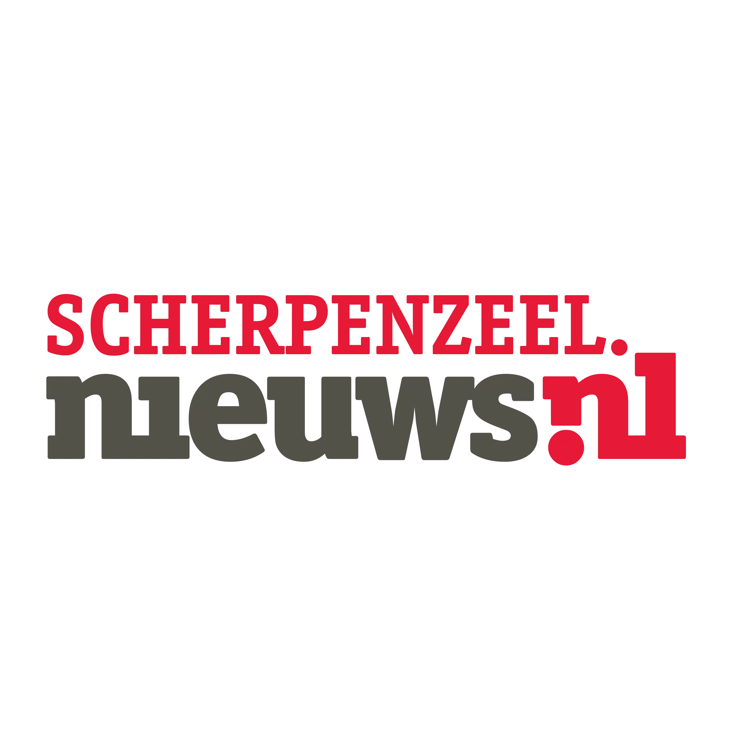 Newsletter logo