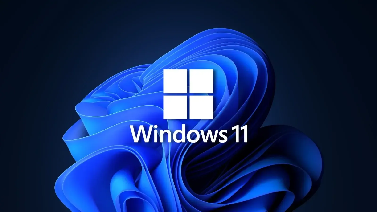 Windows 11 news