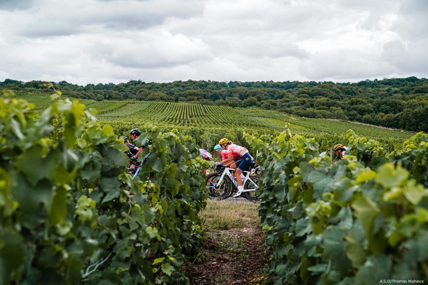 Ludwig klopt Vos in explosieve finale Tour de France Femmes; Van Vleuten verliest kostbare tijd