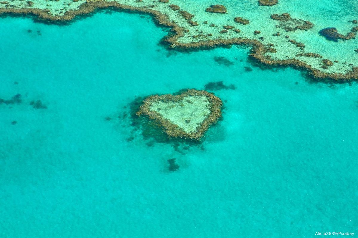 Unesco wil Great Barrier Reef op lijst bedreigd erfgoed plaatsen vanwege klimaatverandering