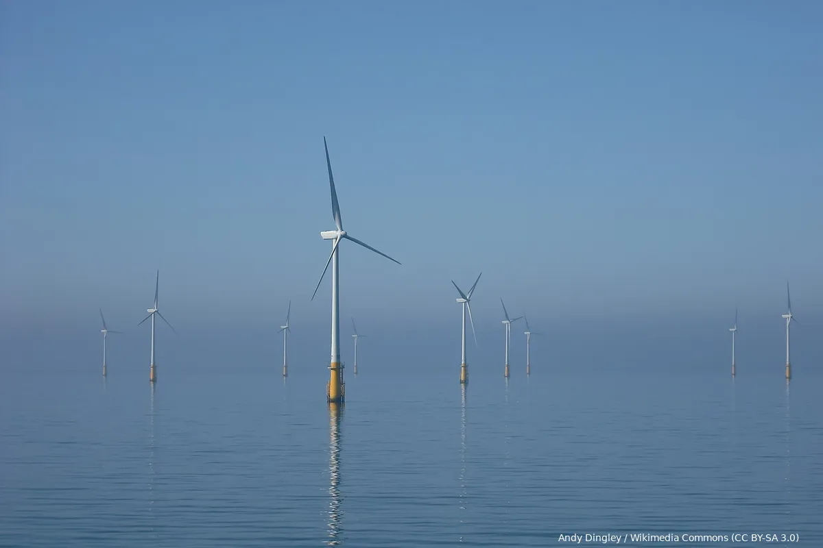 Researchers warn of disruptive impact of wind turbines in North Sea