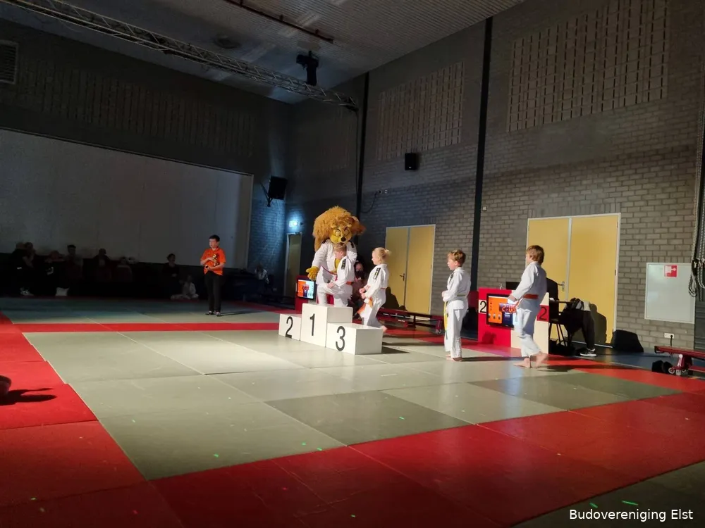 <span id="docs-internal-guid-2615face-7fff-ef66-183d-8996632dd25f"><span style="font-size: 11pt; font-family: Aptos; background-color: transparent; font-variant-numeric: normal; font-variant-east-asian: normal; font-variant-alternates: normal; font-variant-position: normal; font-variant-emoji: normal; vertical-align: baseline; white-space-collapse: preserve;">Leeuwentoernooi</span></span>