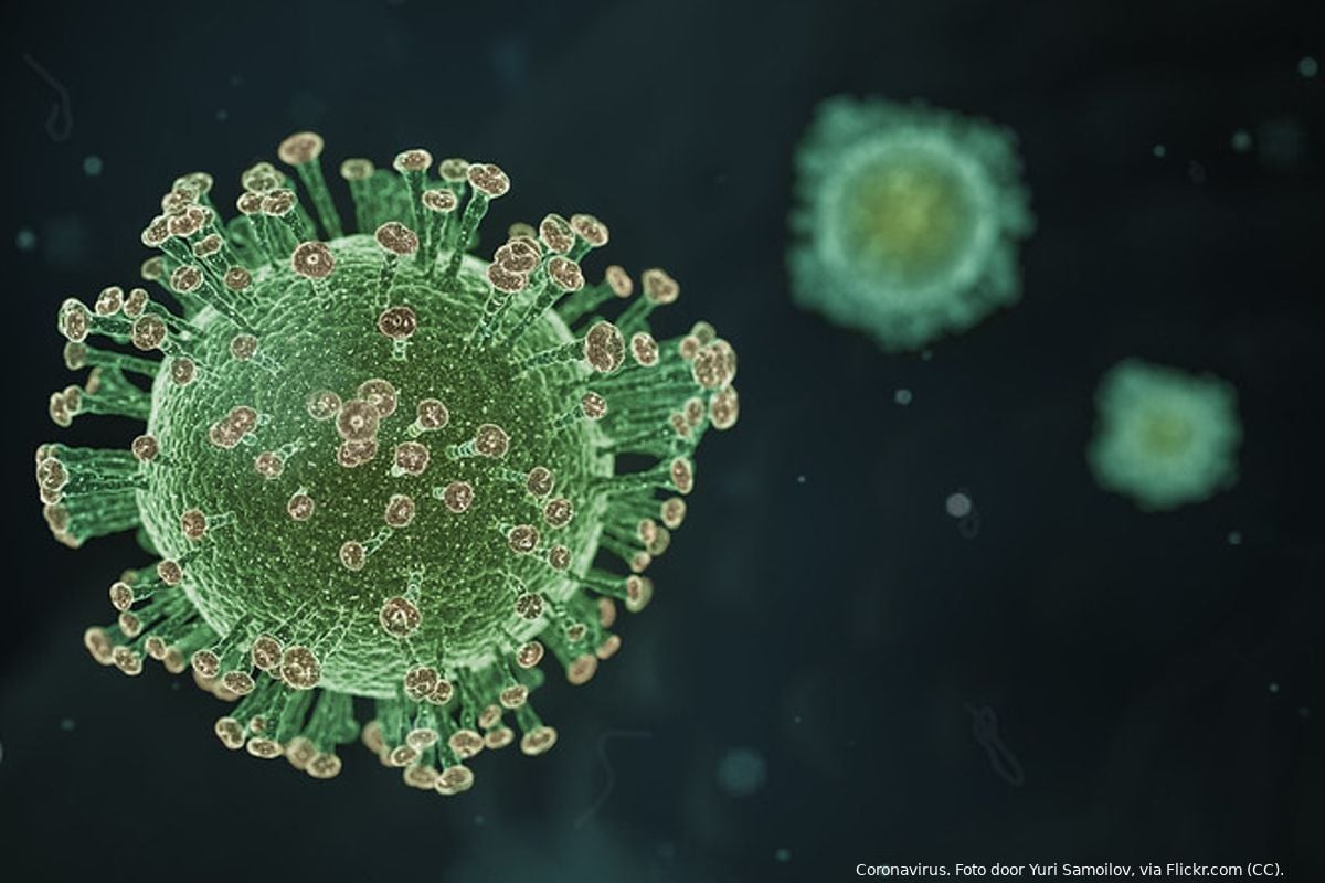 Adviescolleges zijn de weg kwijt omtrent coronavirus: 'Volgzaamheid belangrijker dan effectiviteit'