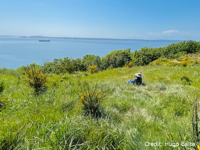 woman-sitting-in-the-grass-at-discovery-park-in-seattle-washington