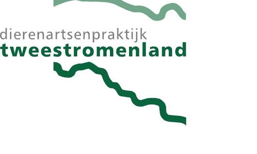 DAP Tweestromenland Logo