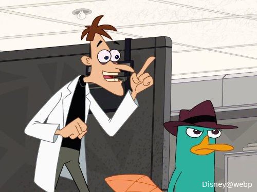 phineas and ferbf1571347824