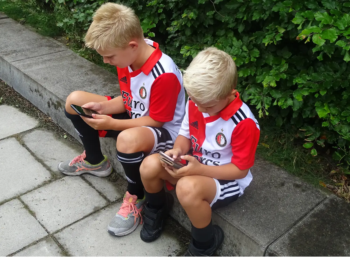 Fotoverslag openbare training Feyenoord online
