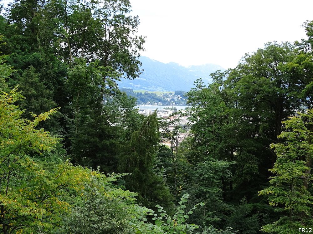 Fotoverslag FC Luzern - Feyenoord online