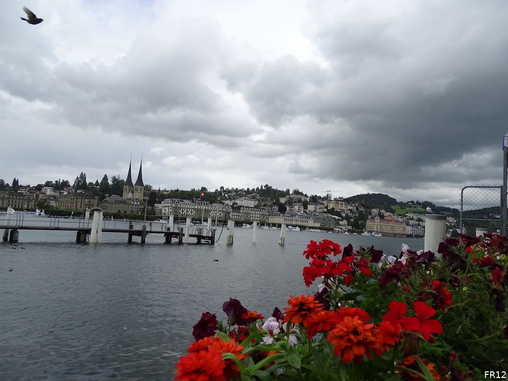 Fotoverslag FC Luzern - Feyenoord online