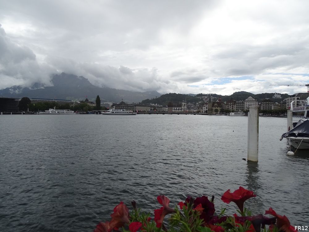 Fotoverslag FC Luzern - Feyenoord online