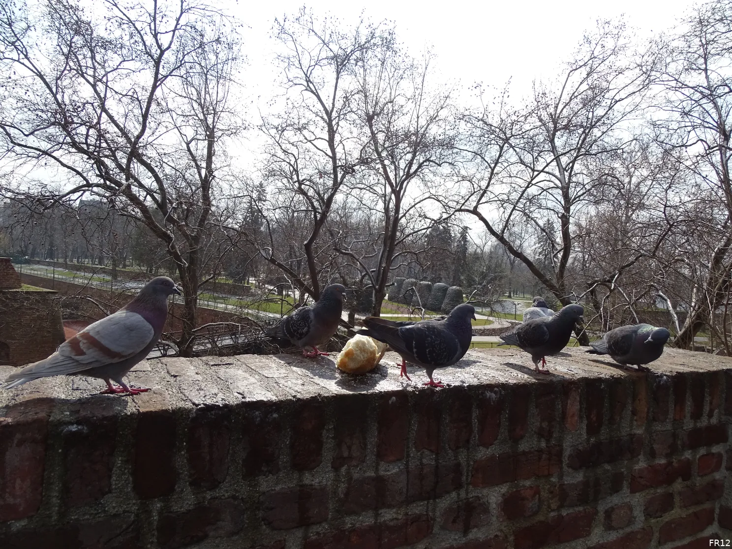 Fotoverslag Belgrado dag 1 online