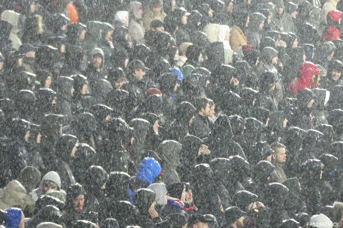 Fotoverslag Feyenoord - NEC online