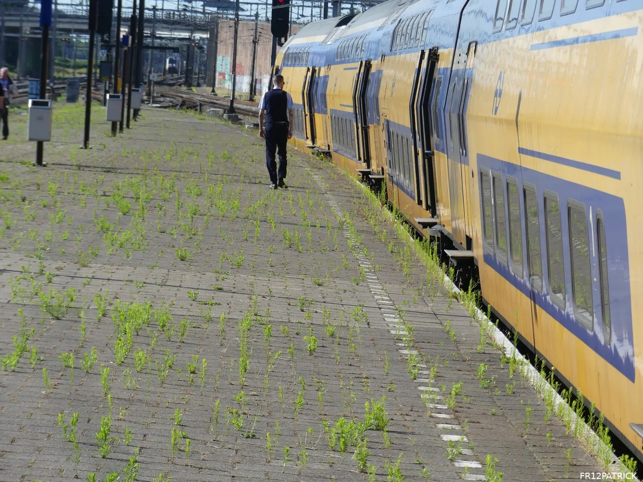 Fotoverslag Feyenoord - Werder Bremen online