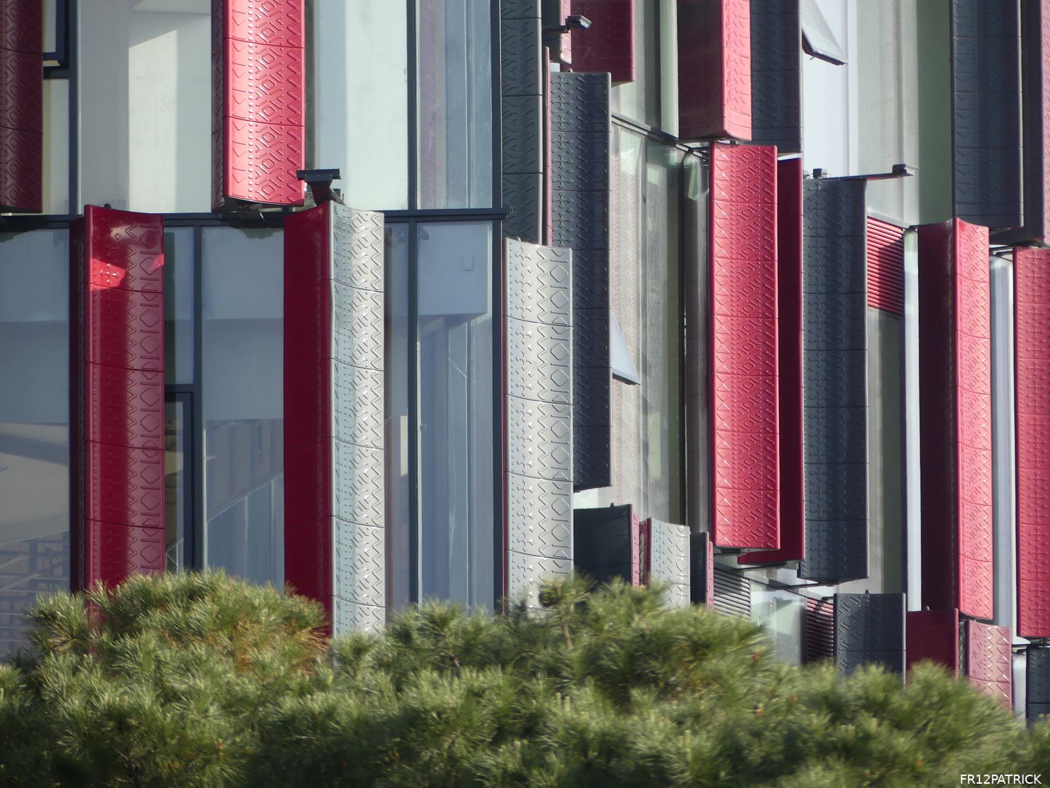 Fotoverslag AS Roma - Feyenoord online