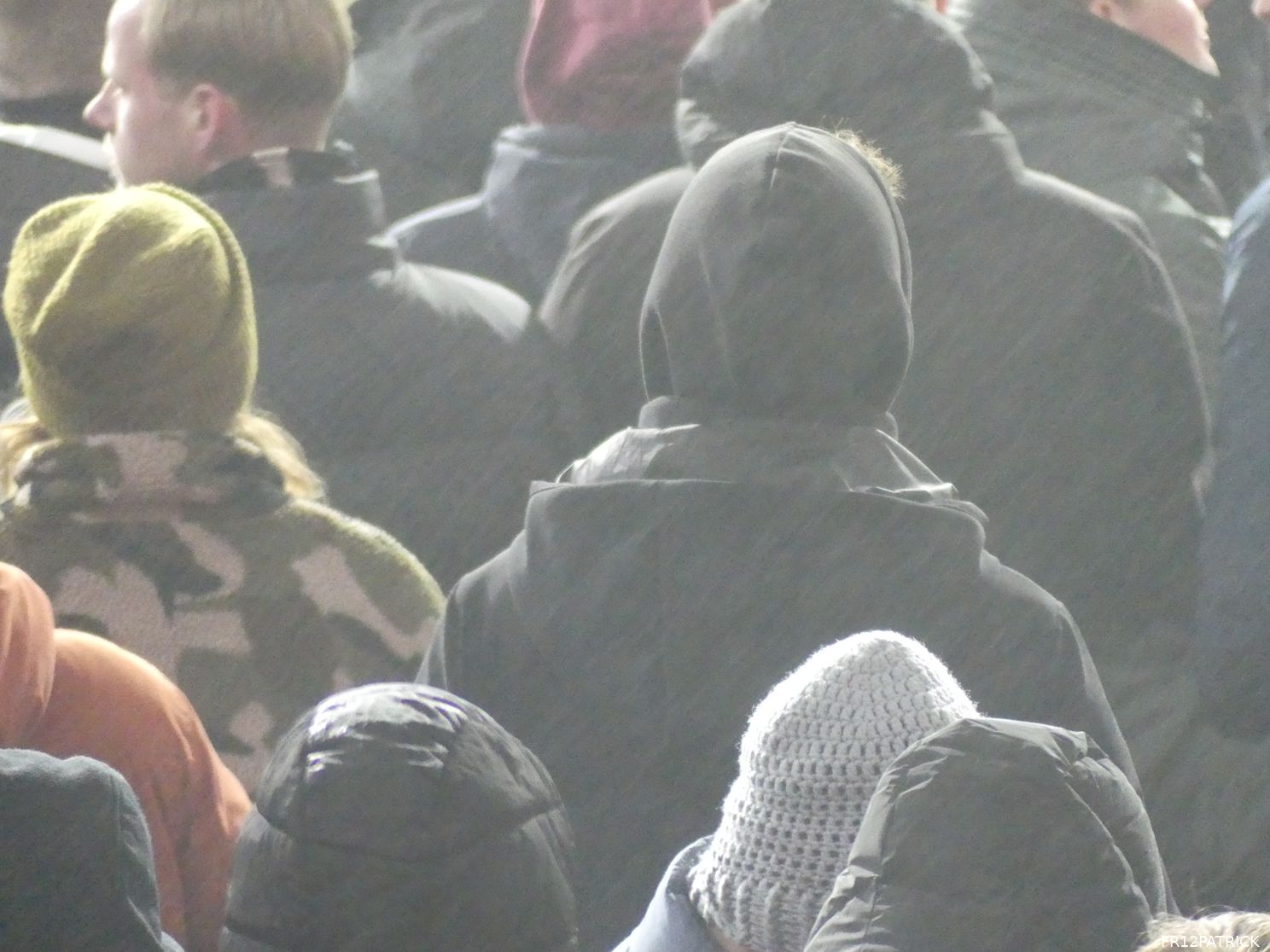 Fotoverslag Feyenoord - NEC online