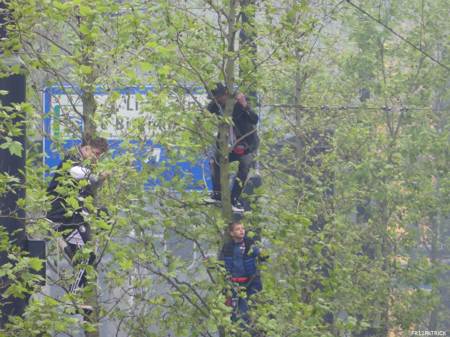 Fotoverslag huldiging op de Coolsingel online