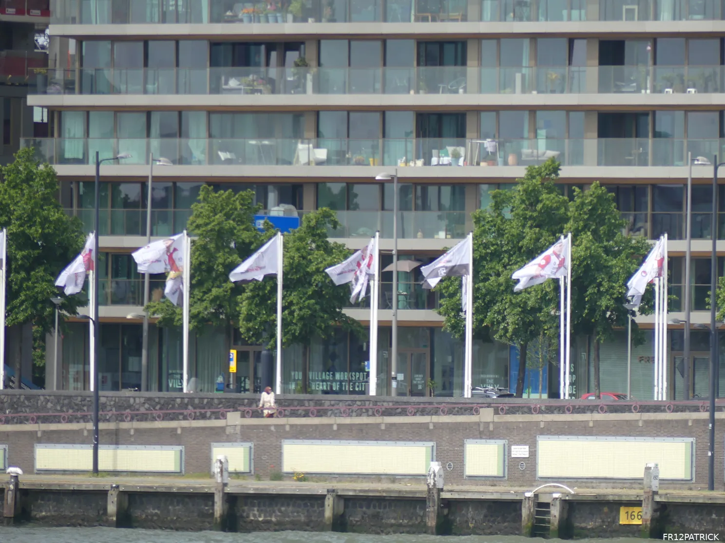 Fotoverslag Feyenoord - Vitesse online