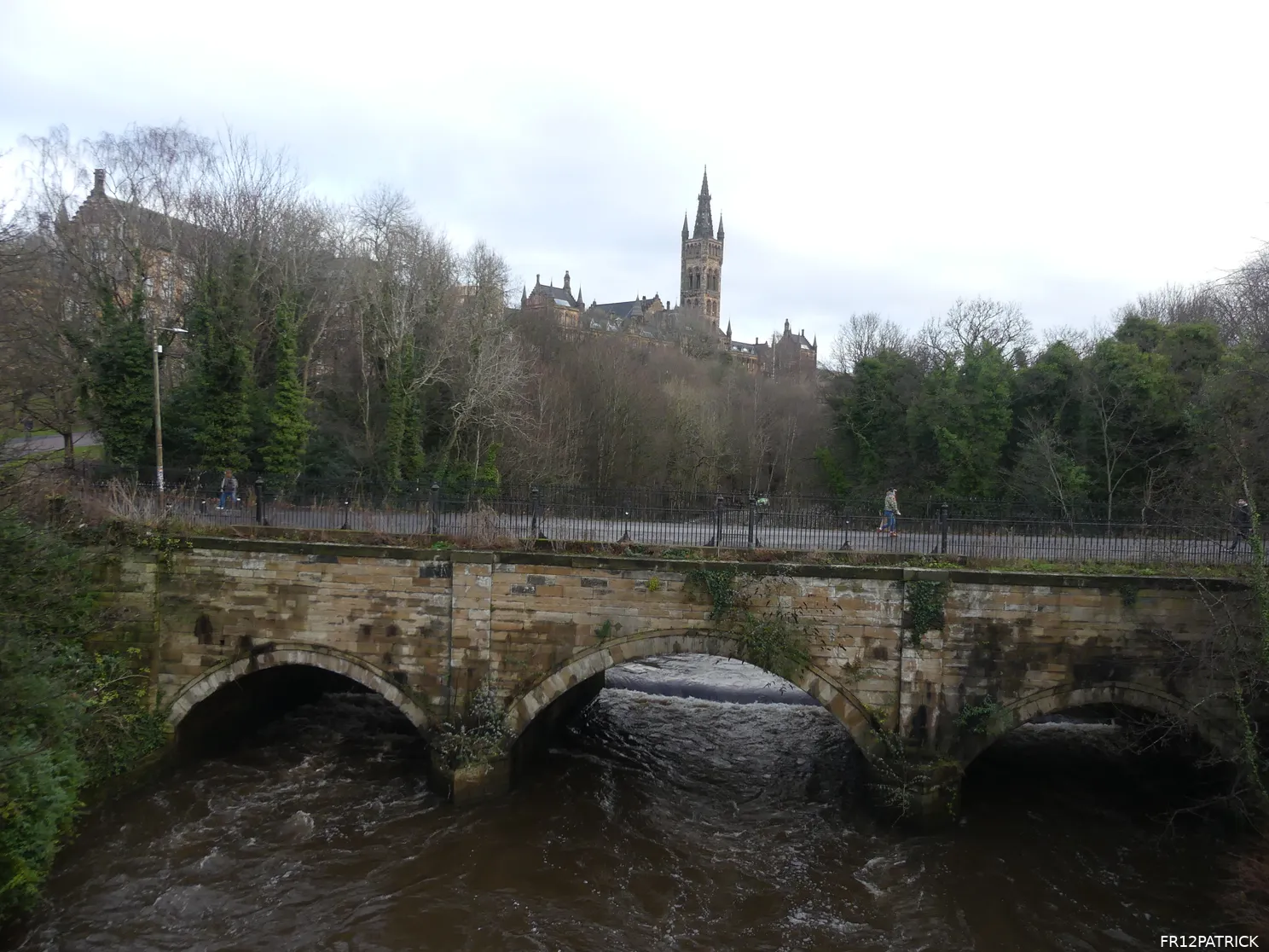 Fotoverslag Celtic FC - Feyenoord online