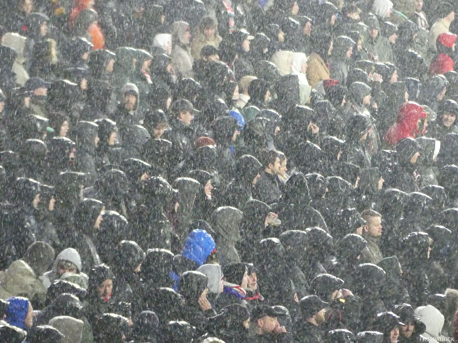 Fotoverslag Feyenoord - NEC online