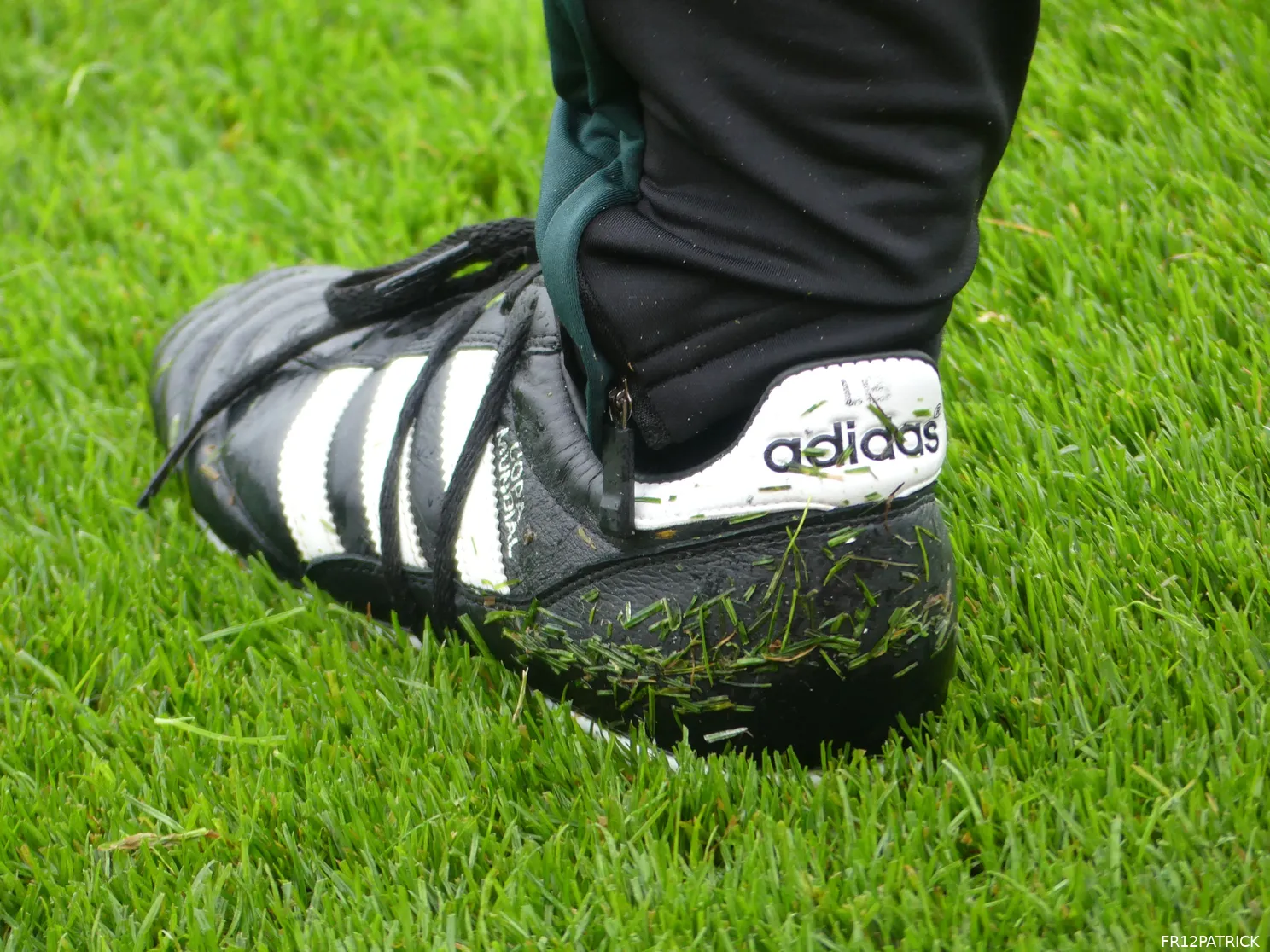 Fotoverslag eerste openbare training online