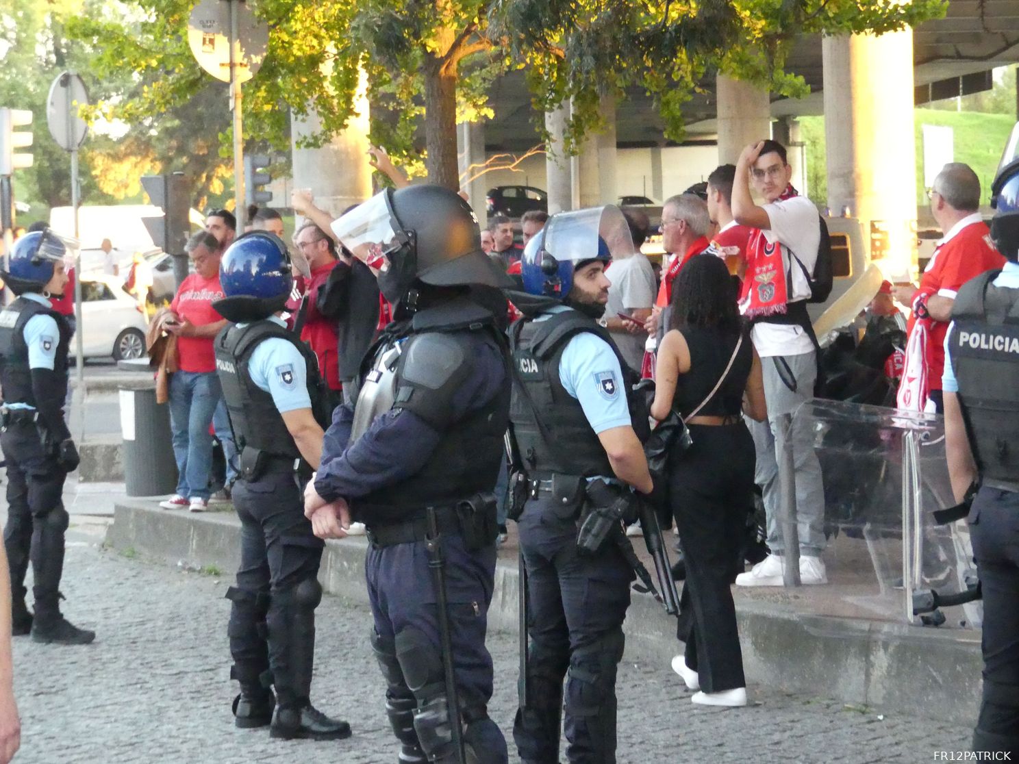 Fotoverslag Benfica - Feyenoord online