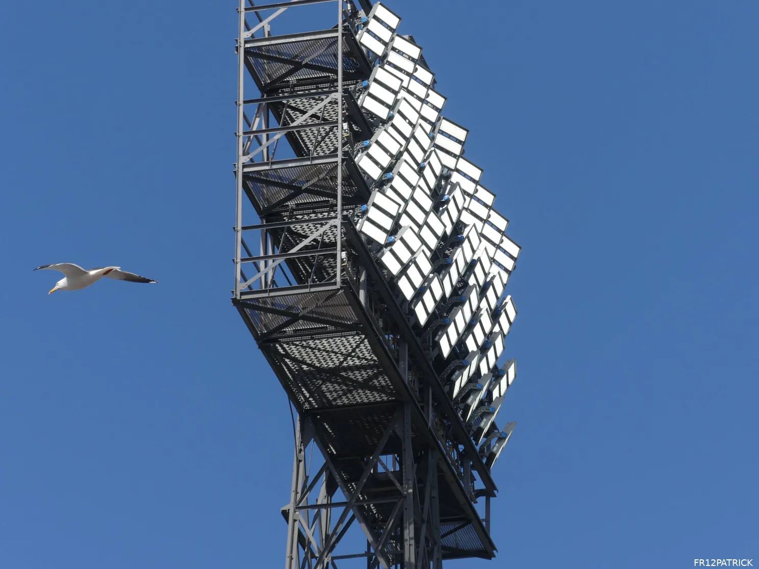 Fotoverslag Feyenoord - Go Ahead Eagles online