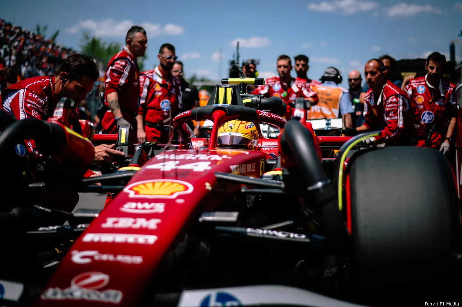 Hamilton rijdt een marmot aan in Canada: 'Het is verschrikkelijk, het is vreselijk'