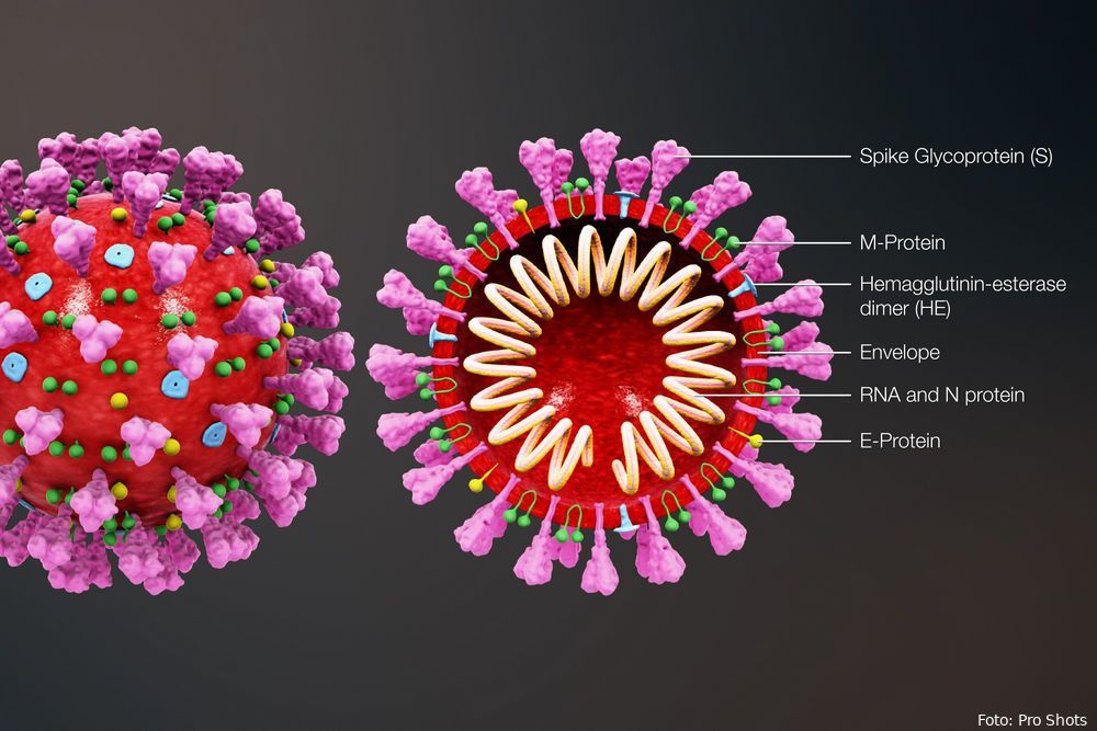 BREAKING: Eerste eredivisieduels afgelast vanwege  het coronavirus