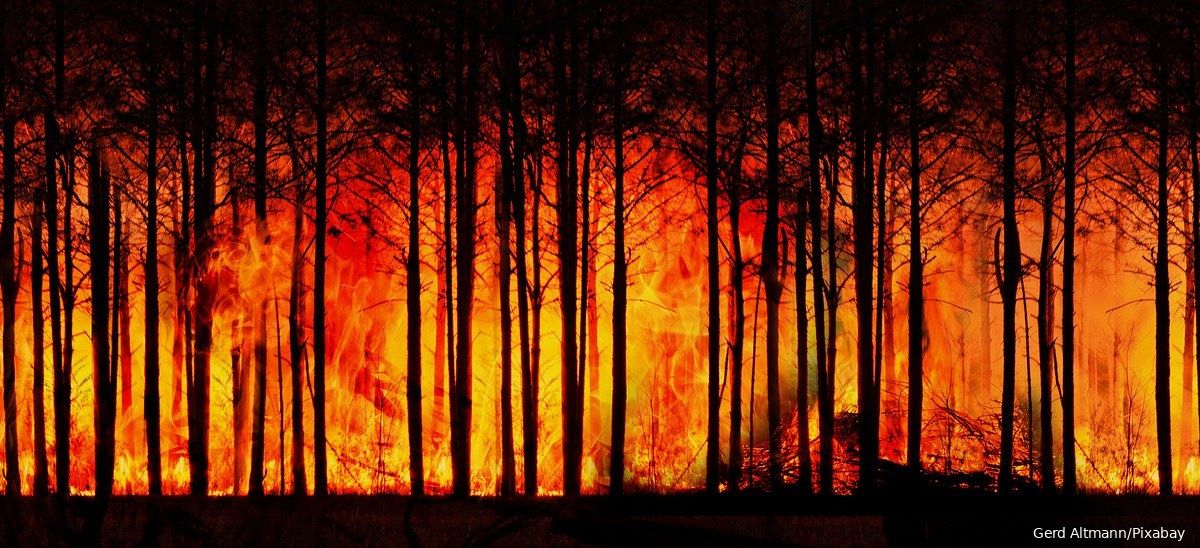 Gigantische bosbranden teisteren Siberië; weersextremen nemen overal in de wereld toe