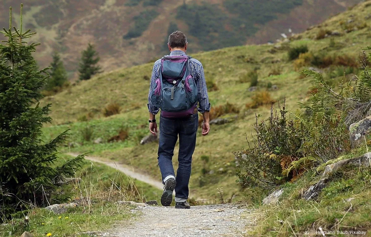 Wandelen voor je hersens: regelmatig buiten zijn is enorm gezond voor je lichaam én brein