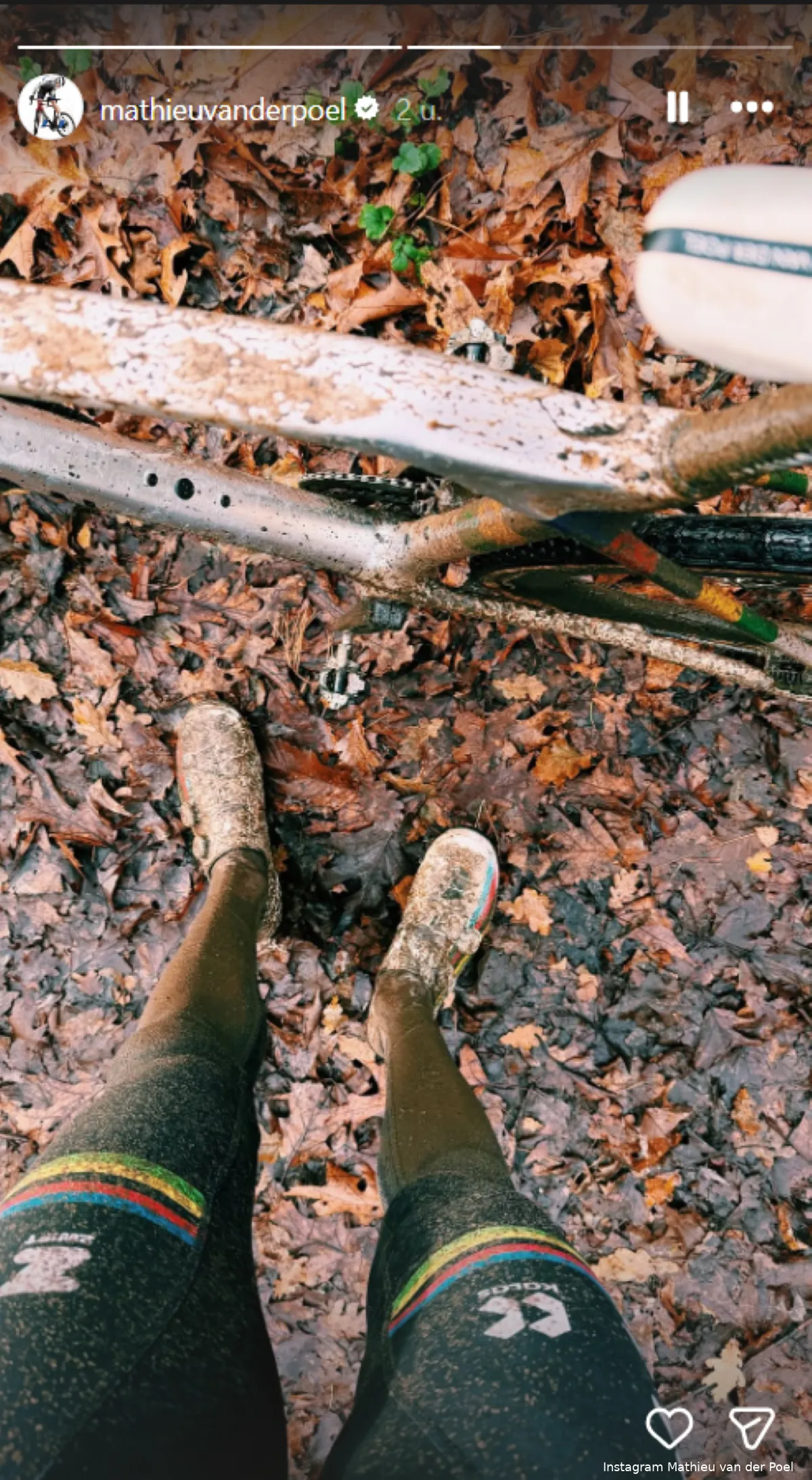 mathieu-van-der-poel