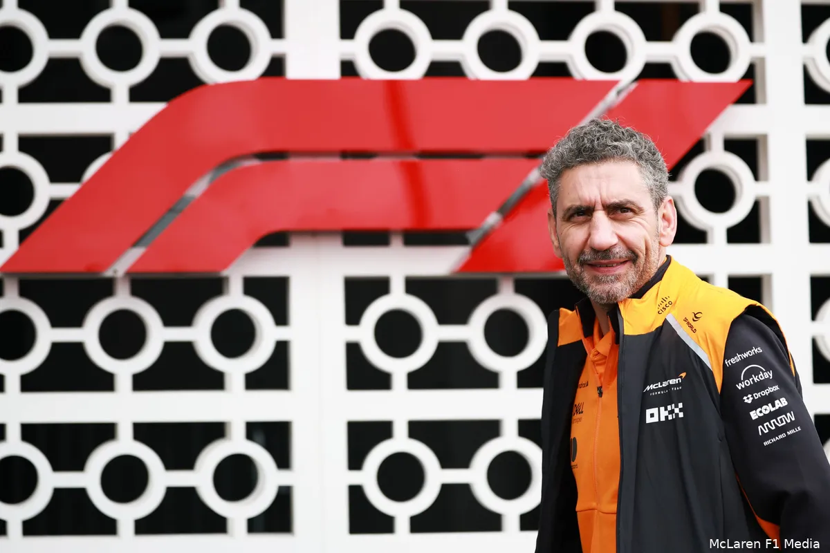 andrea-stella-mclaren-brazilie-vrijdag (2)