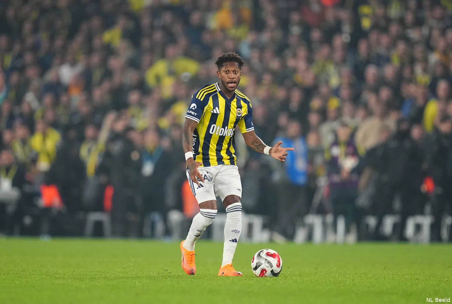 Fred-Fenerbahce
