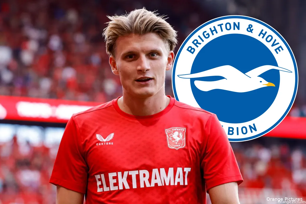 sem steijn brighton and hove albion