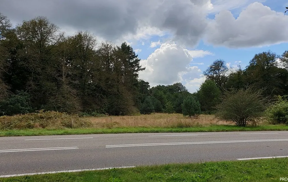 Het terrein nu