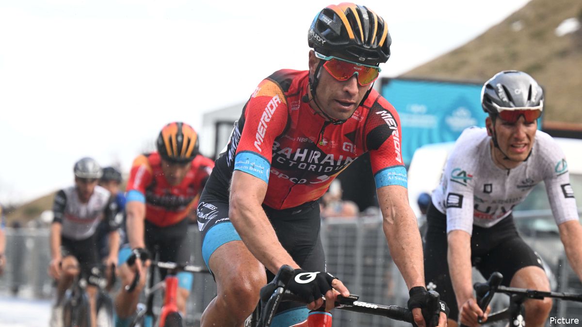 14 españoles en el Tour de Francia 2023 Landa, Mas y Rodríguez lideran la participación más 14 españoles en el Tour de Francia 2023 Landa, Mas y Rodríguez lideran la participación más