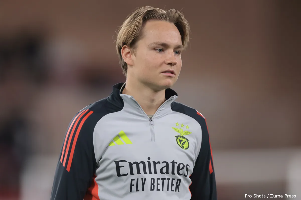 andreas schjelderup benfica