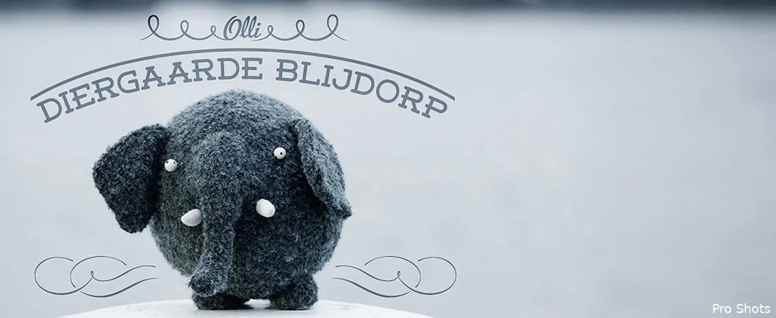 Zwarthandelaren profiteren van Olli