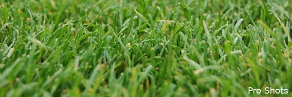 Feyenoord gaat samenwerken met Doe Een Wens Stichting