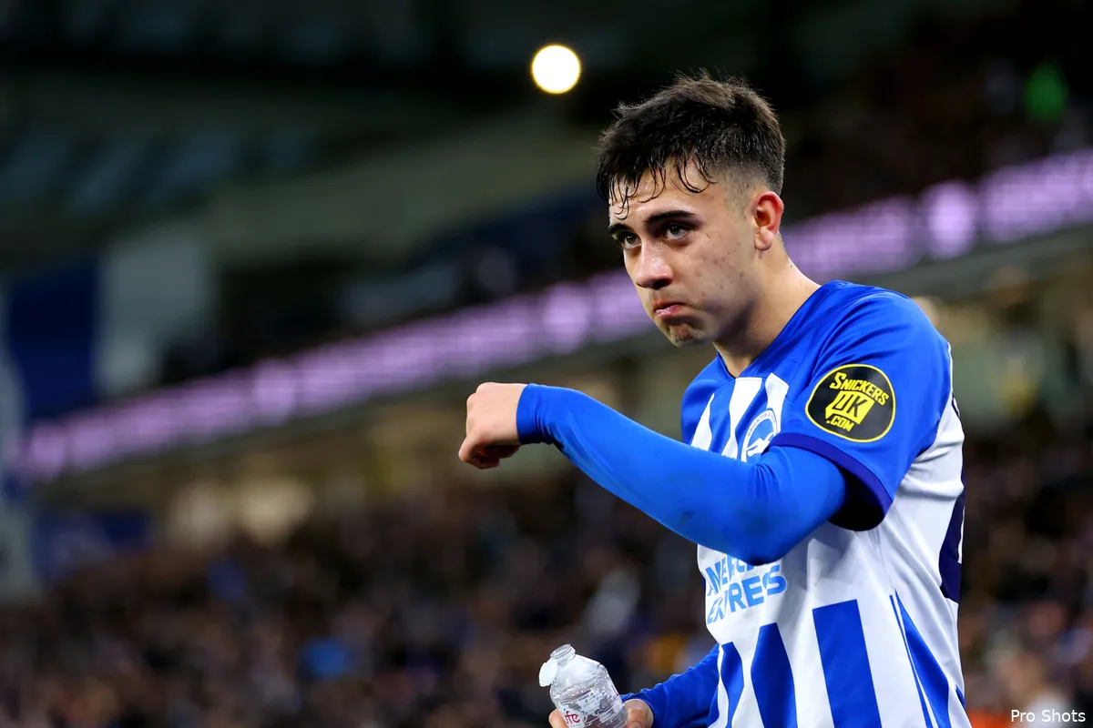 copyright proshots 24106119