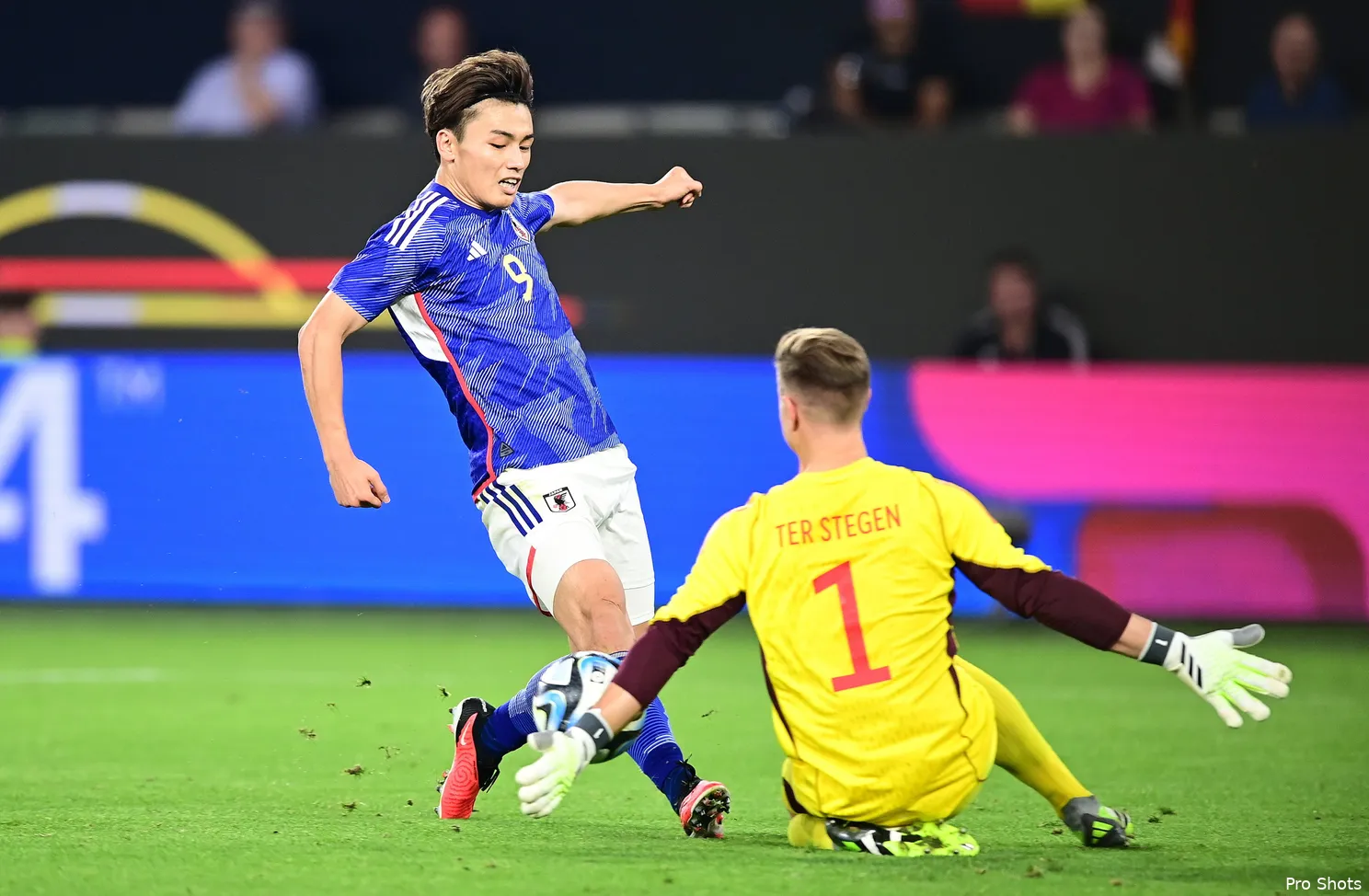 copyright proshots 22281137