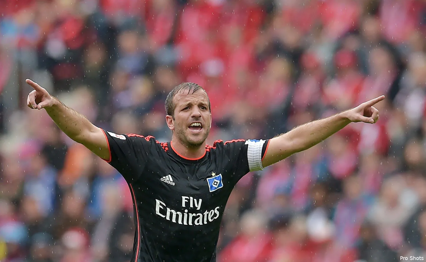 rafael-van-der-vaart-hsv