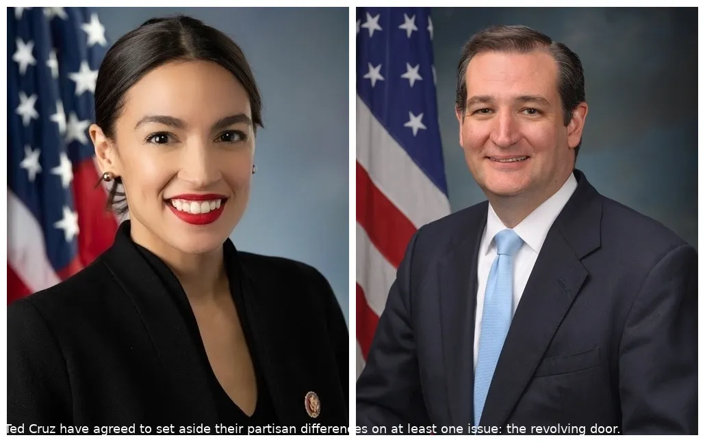 An unlikely pair ready to put a wedge in the revolving door. But could it work?