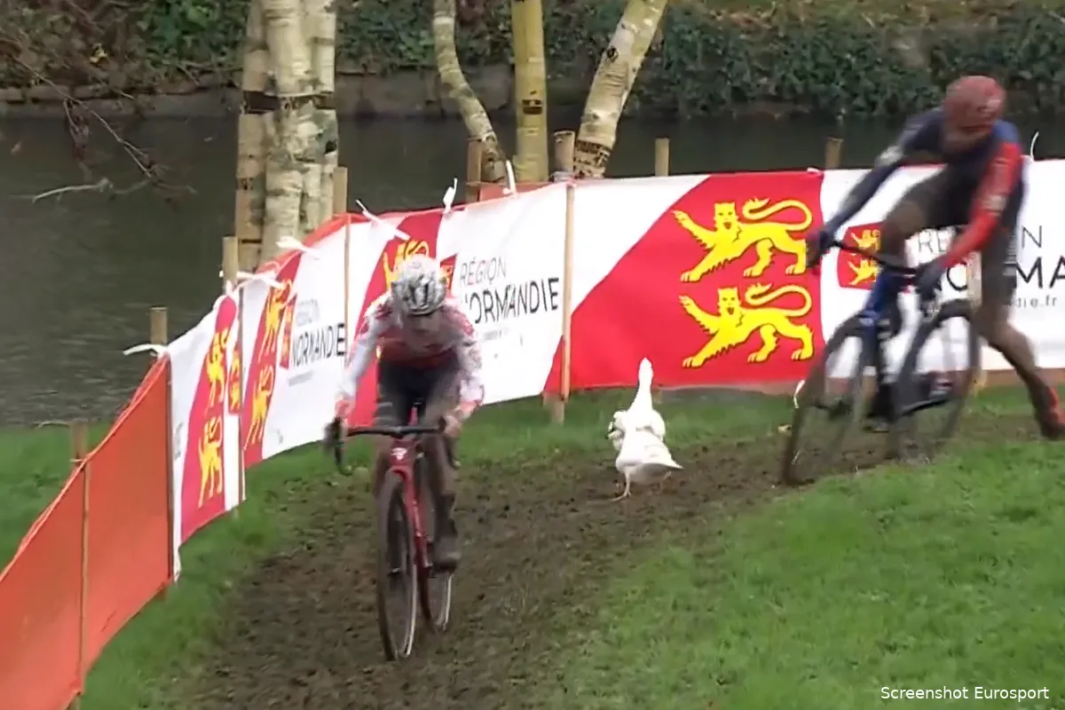 schermafbeelding 2023 12 03 170500