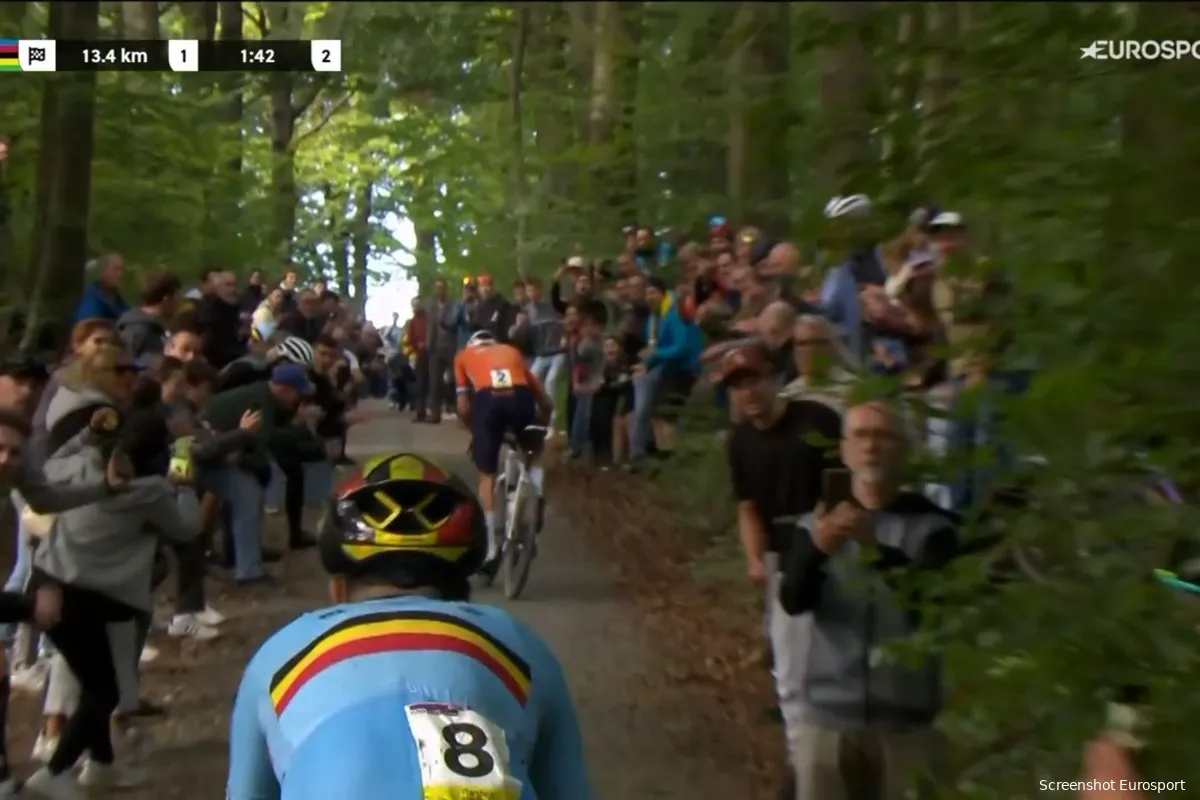 vermeersch van der poel